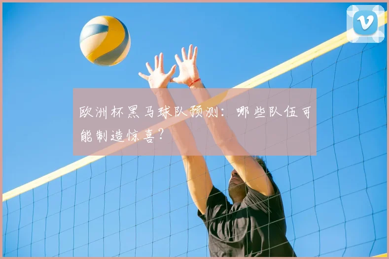 欧洲杯黑马球队预测：哪些队伍可能制造惊喜？