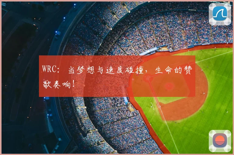 WRC：当梦想与速度碰撞，生命的赞歌奏响！