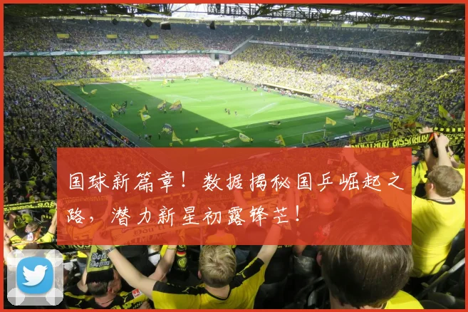 国球新篇章！数据揭秘国乒崛起之路，潜力新星初露锋芒！