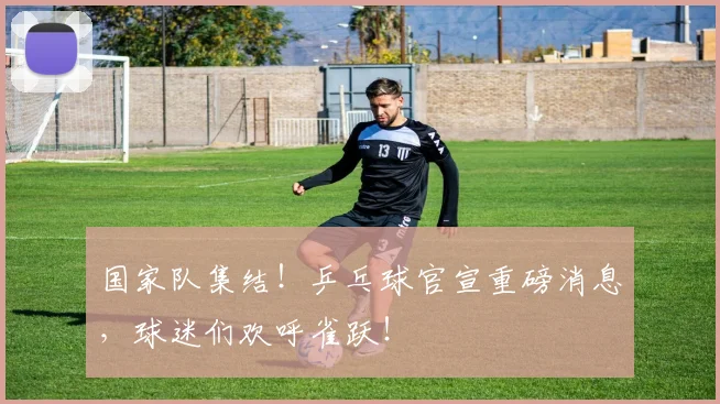 国家队集结！乒乓球官宣重磅消息，球迷们欢呼雀跃！
