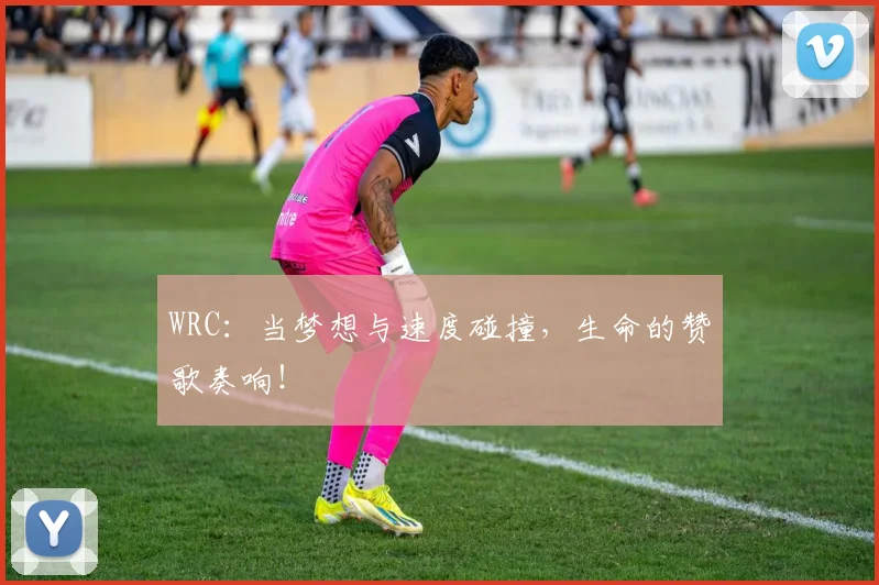 WRC：当梦想与速度碰撞，生命的赞歌奏响！